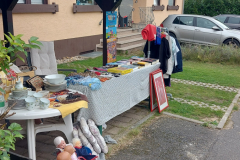 IMG-20240910-WA0013