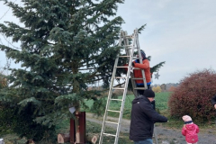 wp-1702726608045