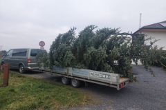 wp-1702726610803-scaled