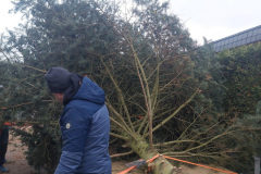 wp-17027266114565632959346097453374-scaled