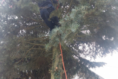 wp-17027266122305976664253445738049-scaled