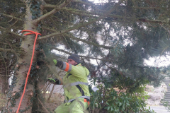 wp-17027266128182519308316036021425-scaled