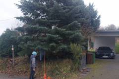 wp-17027266134486452591207038445411-scaled