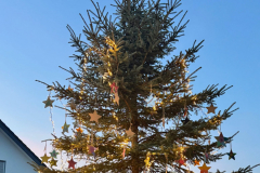 Weihnachtsbaum2024_01