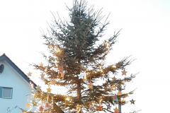 Weihnachtsbaum2024_10
