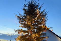 Weihnachtsbaum2024_11