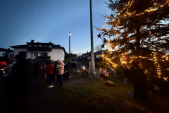 Weihnachtsbaum2024_18