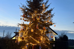 Weihnachtsbaum2024_21
