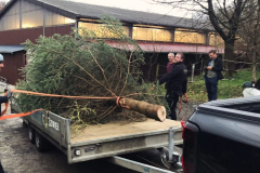 Weihnachtsbaum2024_25